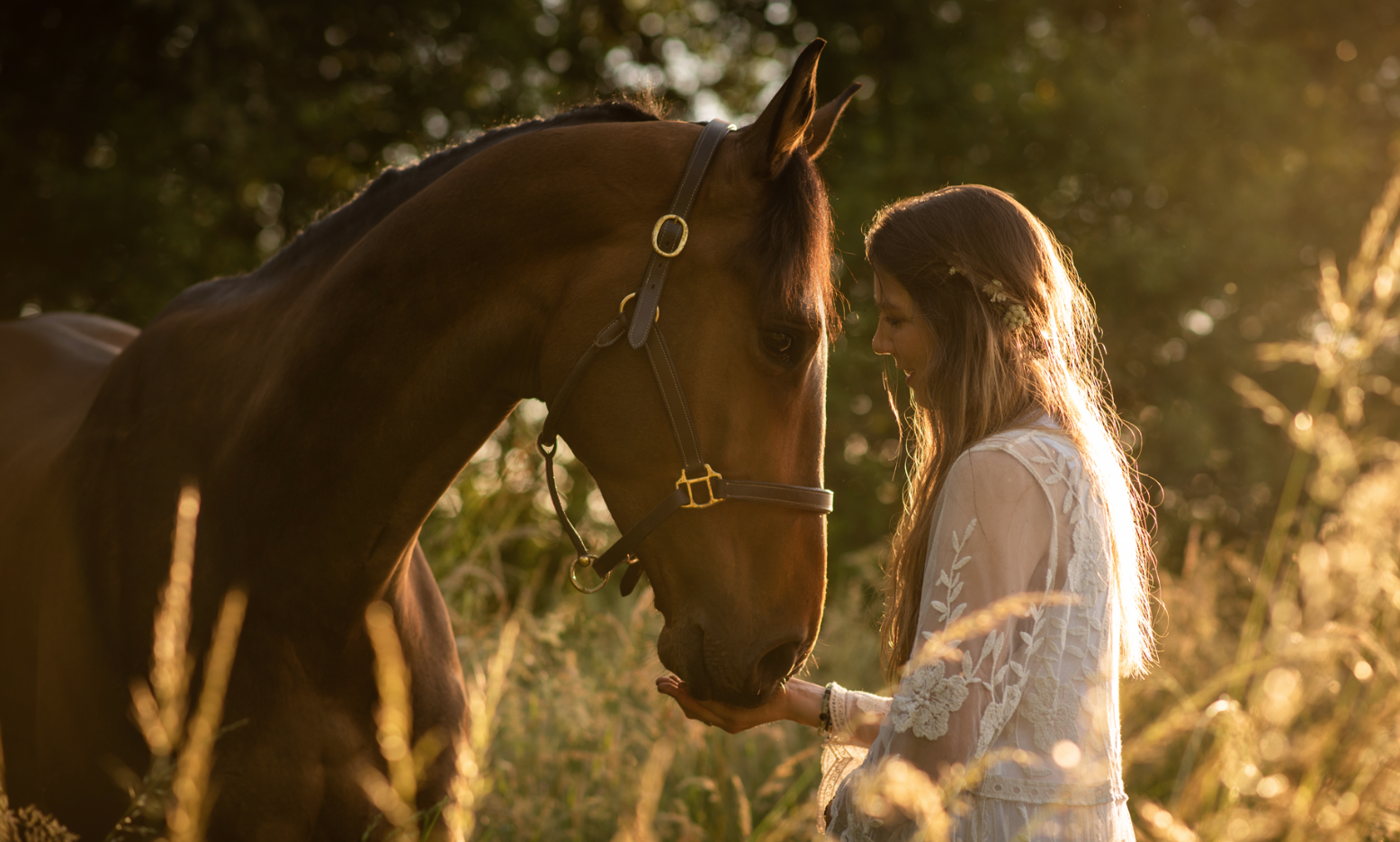 Cheval et cavalière